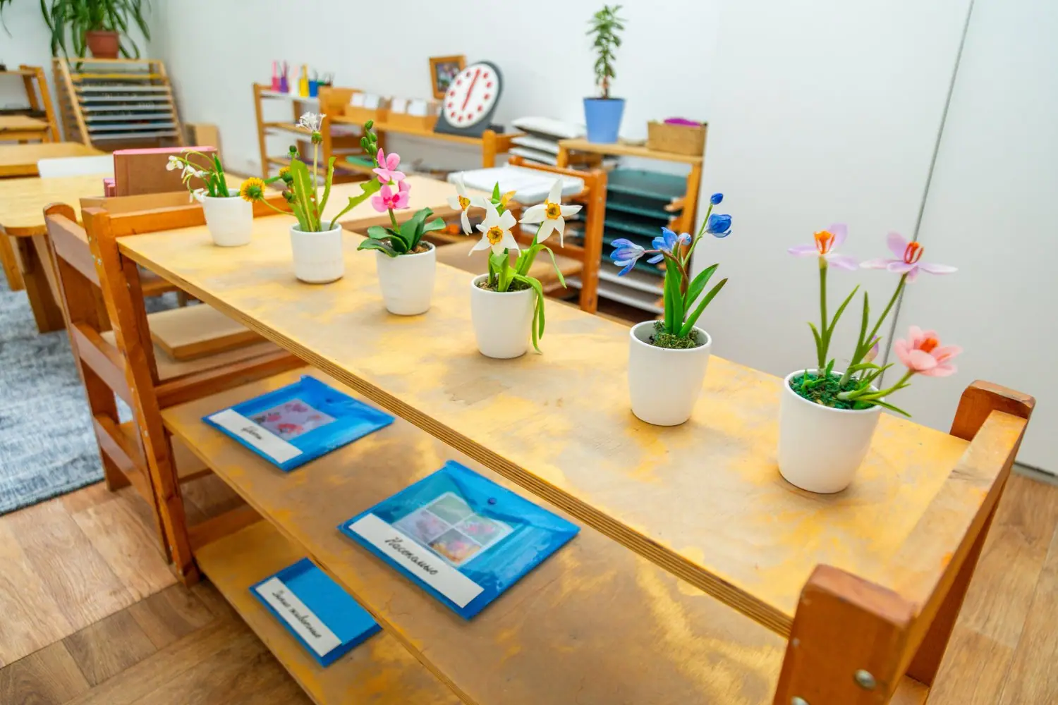 Przedszkole Montessori Ziarenko we Wrocławiu - przestrzeń harmonijnego rozwoju dziecka